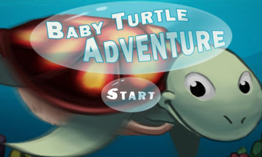 Baby Turtle Adventure