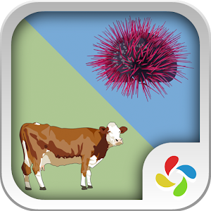 Sexual reproduction in animals.apk 1.0