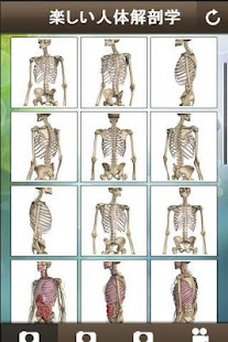 How to mod Human Anatomy for Beginner patch 1.10.13.155 apk for laptop
