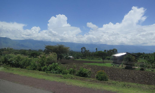 Download Ethiopia Wallpapers APK