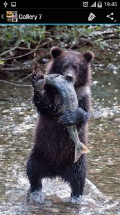 Funny Picture Ideas Screenshots 0