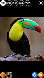 Tile Puzzle: Birds poster 1