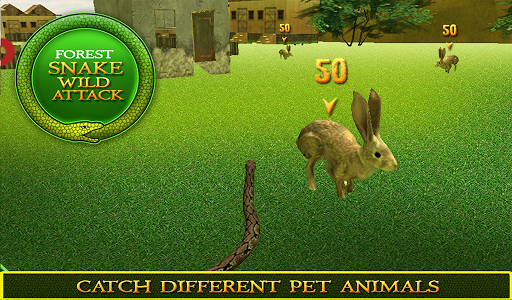 免費下載模擬APP|Forest Snake Wild Attack 3D app開箱文|APP開箱王