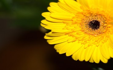 8M_0A1ZJocxcPgPyIbLbMTXLbM-aeohXJtn_p49RFX0MEMGfHxzFJtn94n9C6PeErA=h230