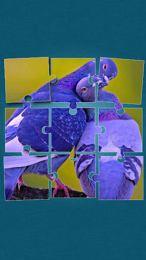 【免費解謎App】Birds Jigsaw Puzzle-APP點子