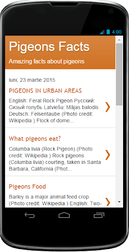 Pigeons Facts