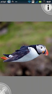 Free Tom Mackie Images APK