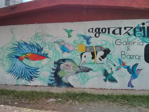 Mural De Aves