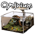 Oyajirium [Breeding Game]1.7