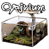 Oyajirium [Breeding Game]1.7
