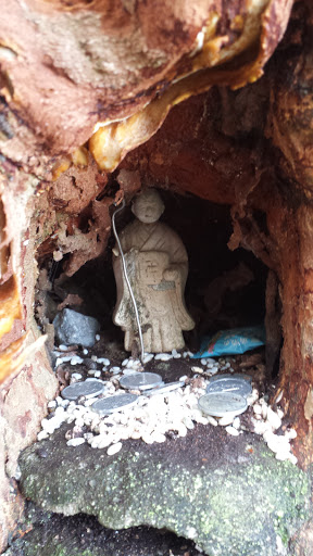 Bodhisattva Tree Trunk Alcove