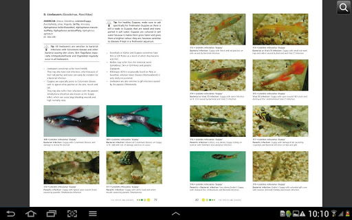 免費下載書籍APP|Fish Diseases app開箱文|APP開箱王