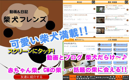 【免費娛樂App】柴犬フレンズ-APP點子