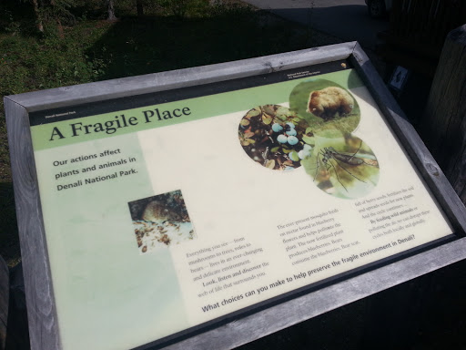 Fragile Place