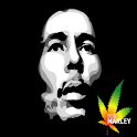 Bob Marley Experience! logo