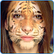 Download Insta Face Changer Pro For PC Windows and Mac 3.4