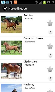 Free Horse Breeds FREE APK