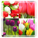 tulip live wallpaper icon