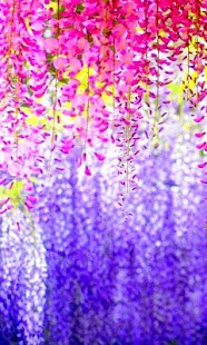 Petals live wallpaper Screenshots 10