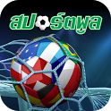 SportPool icon