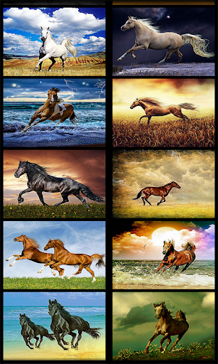 Beautiful Horse Wallpaper