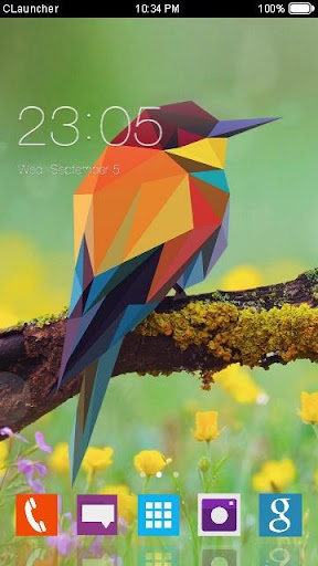 Geometric Bird Clauncher Theme