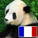Animals in french Apk