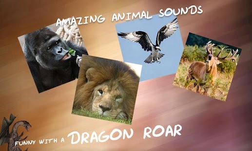 Free Download Animal Sounds APK for Android