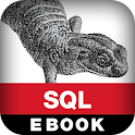 SQL Pocket Guide, 3E