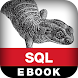 SQL Pocket Guide, 3E