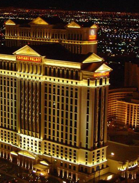 トップ100ラスベガス 壁紙 最高の花の画像