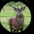 Deer Hunt: Rifle Shot Kill mobile app icon