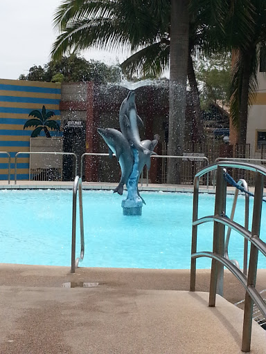 Premium Dolphin Fountain