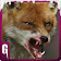 Sauvage neige Fox Sim Attaque icon