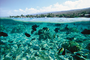 Big Island of Hawaii