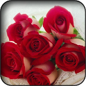 Red Flowers Wallpapers icon