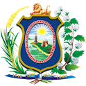 Processos PE – 1º Grau logo