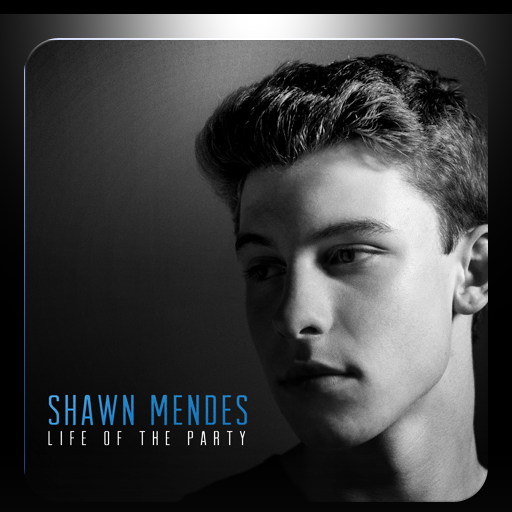 Shawn Mendes Life Of The Party