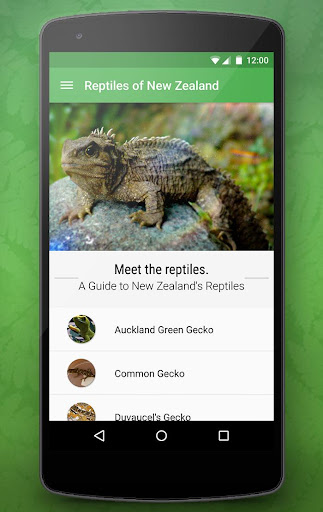 Reptiles of New Zealand