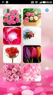 Download Roses flower Wallpapers V2 APK