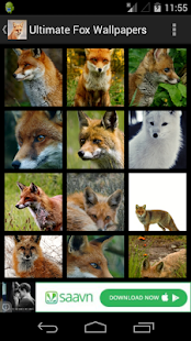 How to mod Ultimate Fox Wallpapers 1.0 unlimited apk for pc