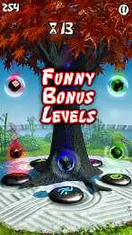 Zen Training poster 10