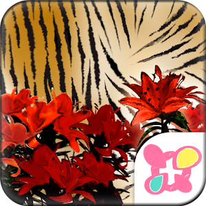 Tiger, Lilies for[+]HOME 1.0
