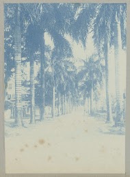 Sommeldijksche straat