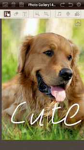 download Gallery & Album Foto free