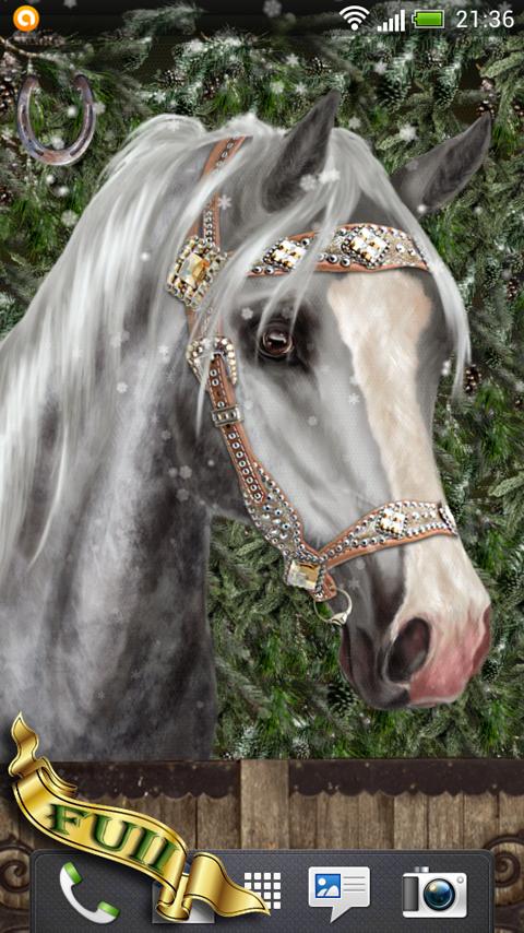 Arabian Horse Wallpaper Screen 2