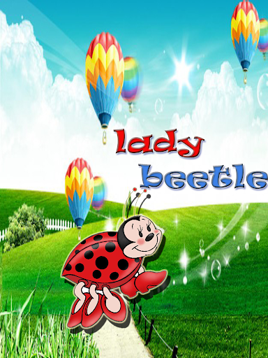 Lady Beetle