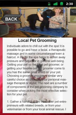 Local Pet Grooming