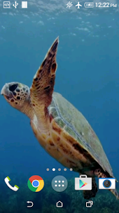 How to get Turtle 3D Live Wallpaper 3.0 apk for bluestacks