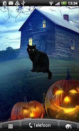 Black Cat Sticker poster 1